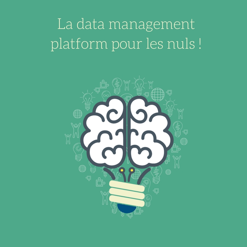 Le Big data et la Data Management Platform (DMP) pour les nuls