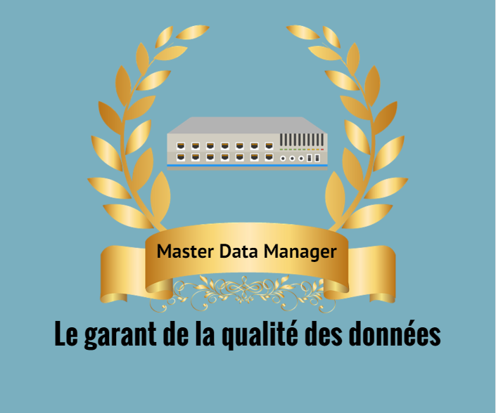 Master Data Manager, le garant de la qualité des données